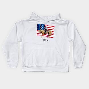 USA Kids Hoodie